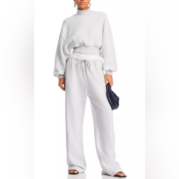 NWT Alexander Wang Cropped Pullover Turtleneck W/ Branded Seam Label, Grey, XS - Picture 5 of 17